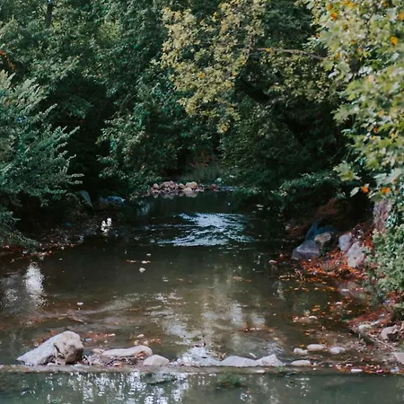 Misgibi Oda ve Kahvaltı